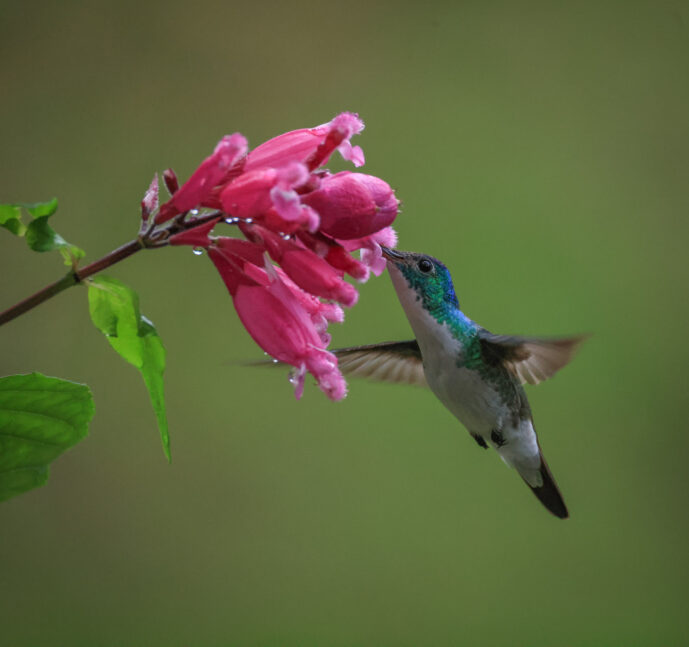 km18 Valle Del Cauca Colombia