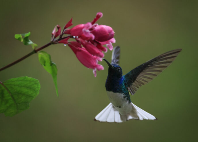 km18 Valle Del Cauca Colombia