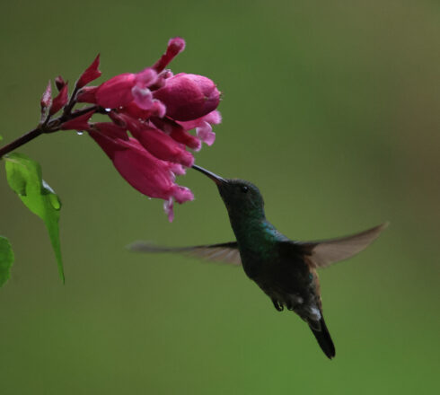 km18 Valle Del Cauca Colombia