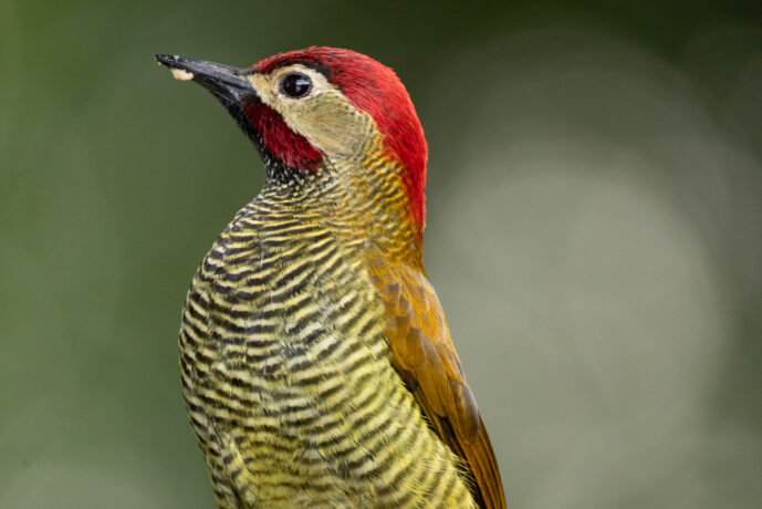 km18 Valle Del Cauca Colombia