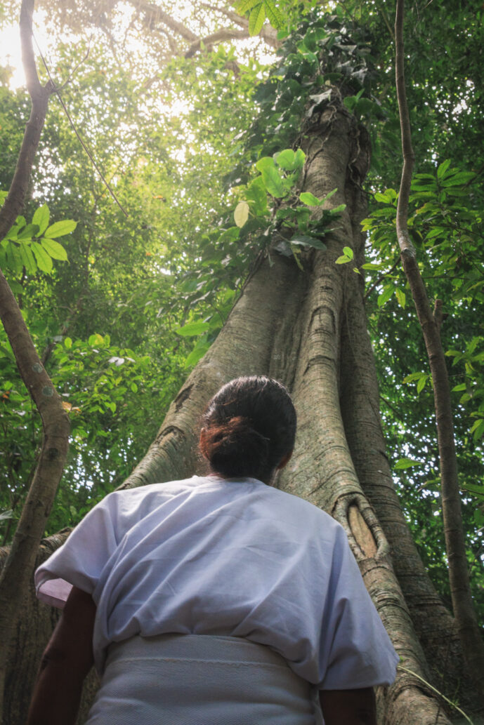 Kutunsama Magdalena Colombia