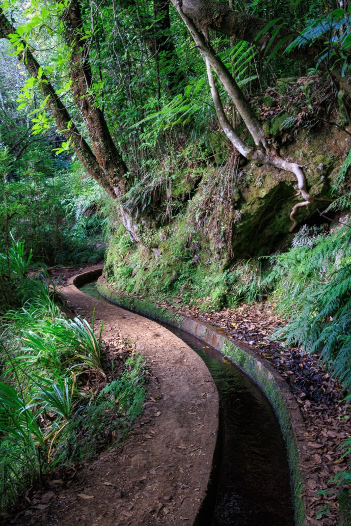 Santana Madeira Island Portugal