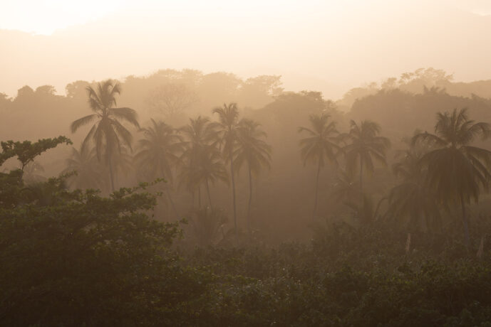 Naranjos Magdalena Colombia