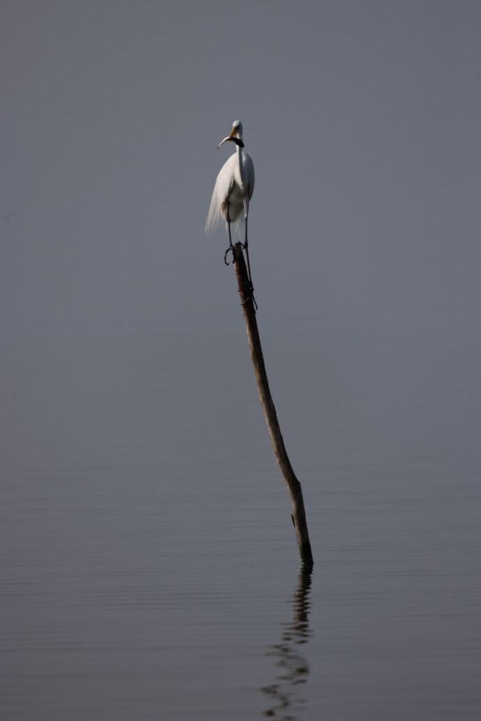 Nueva Venecia Magdalena Colombia