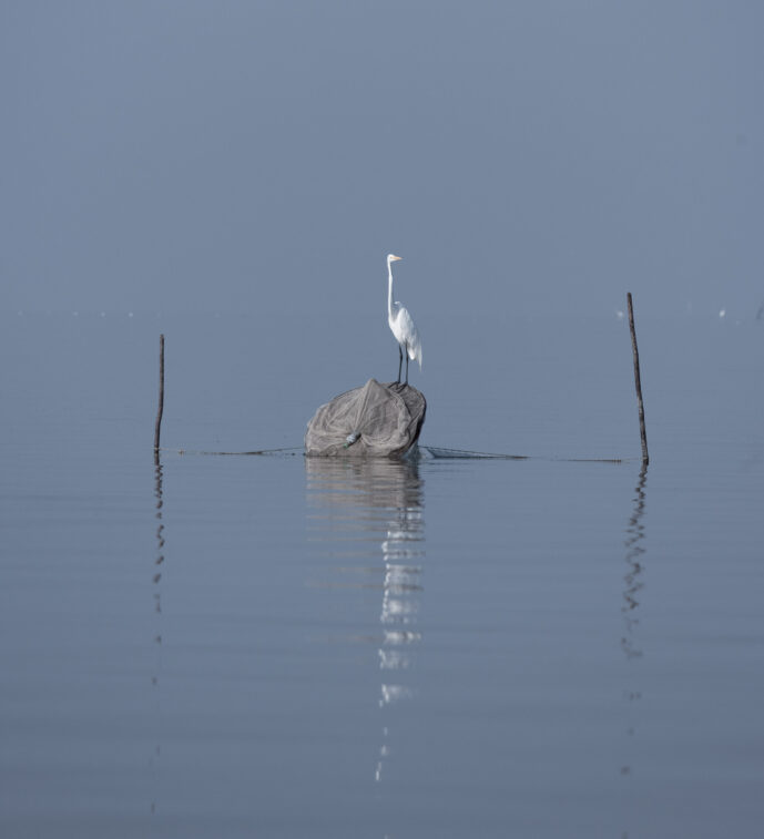 Nueva Venecia Magdalena Colombia