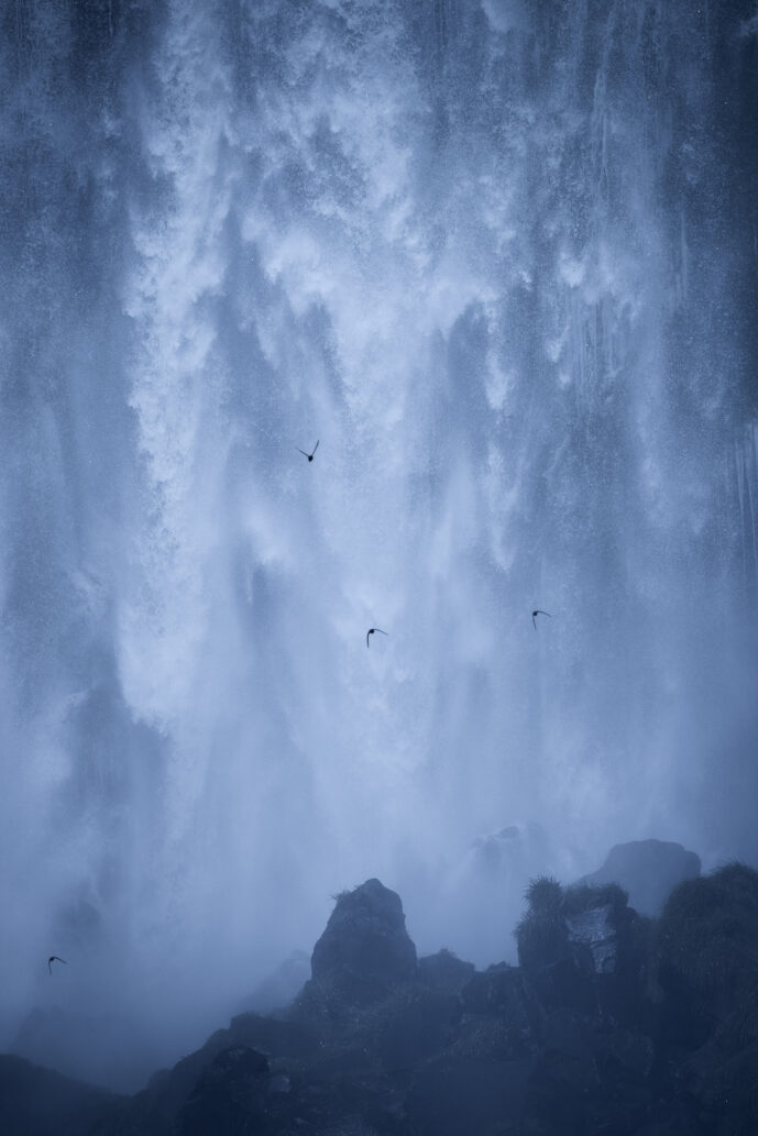 Parque Nacional de Iguazu Missiones Argentina