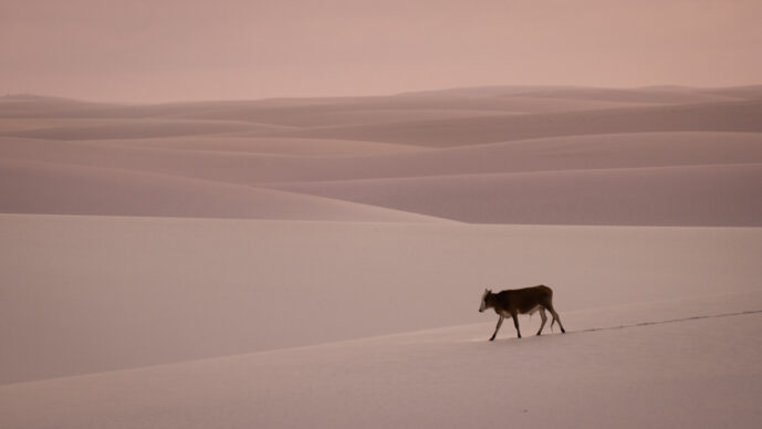 Parque Nacional Dos Lençois Maranhão Brazil