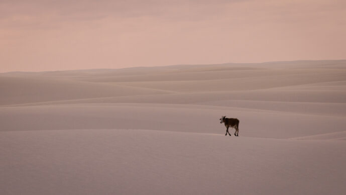 Parque Nacional Dos Lençois Maranhão Brazil