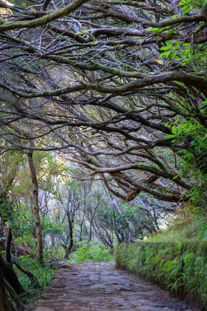 Rabaçal Madeira Island Portugal