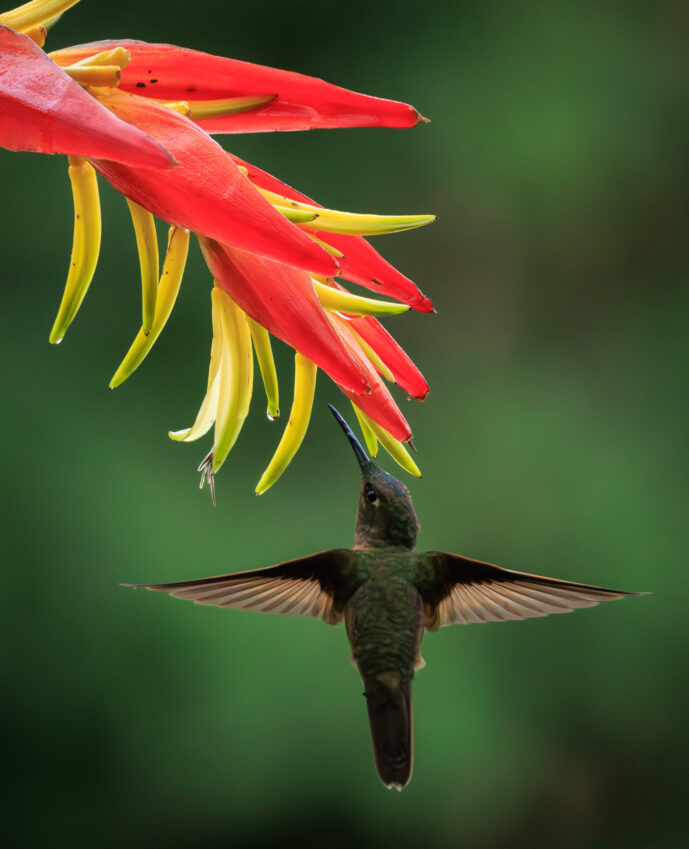 km18 Valle Del Cauca Colombia