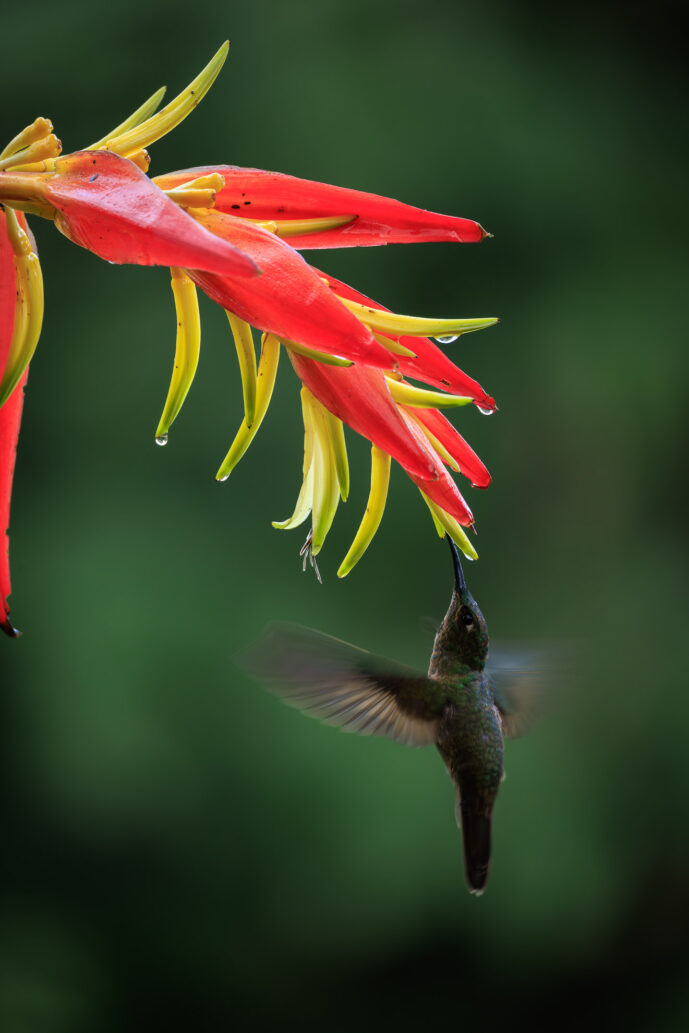 km18 Valle Del Cauca Colombia