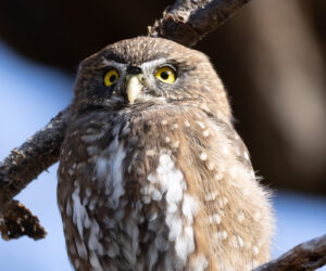Torres Del Paine  Chile
