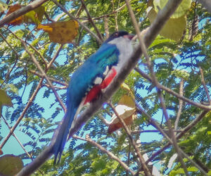 Trinidad Sancti Spiritus Cuba