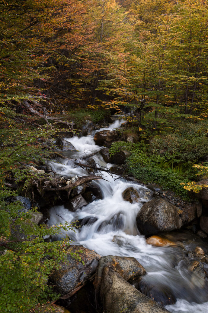 Ushaia Tierra Del Fuego Argentina