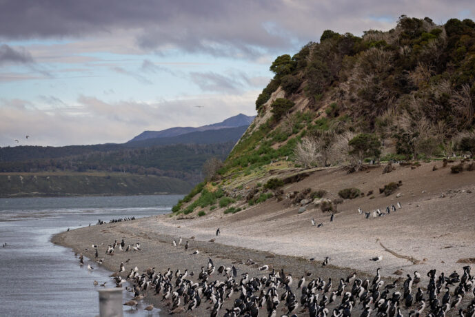 Ushaia Tierra Del Fuego Argentina