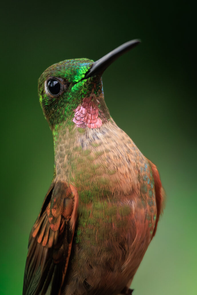 Dagua - Cali Valle Del Cauca colombia