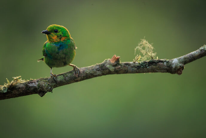 km18 Valle Del Cauca Colombia