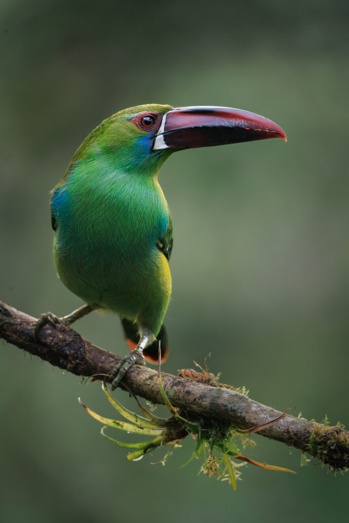 km18 Valle Del Cauca Colombia