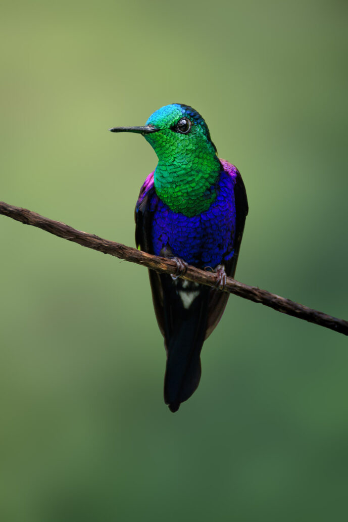 km58 Valle Del Cauca Colombia