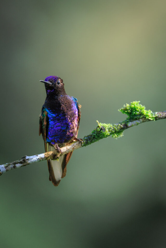 km58 Valle Del Cauca Colombia