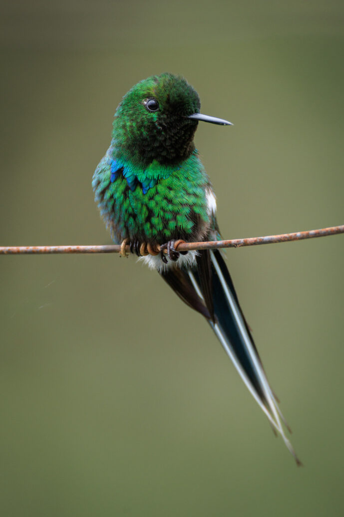 km58 Valle Del Cauca Colombia