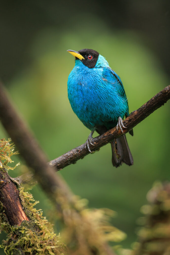 Dagua (Cali) Valle Del Cauca Colombia