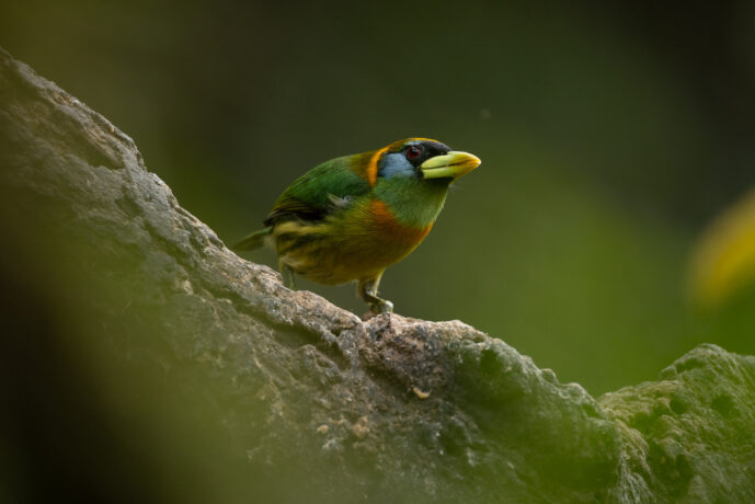 Cali Valle Del Cauca Colombia